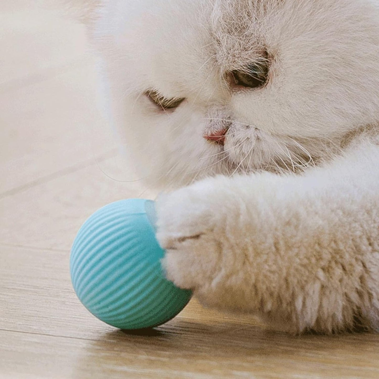 Rotating Cat Ball toy | LED Smart Gravitational Rotating Ball